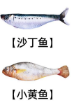 Electric Wiggling Fish Toy — Item 56
